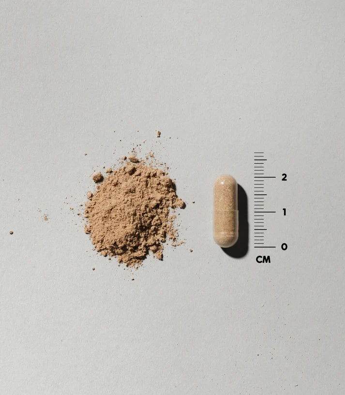 DENSE Ruoholla Ruokitun Sonnin Kiveskapselit